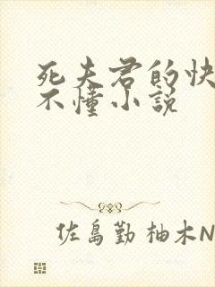 死夫君的快乐你不懂小说