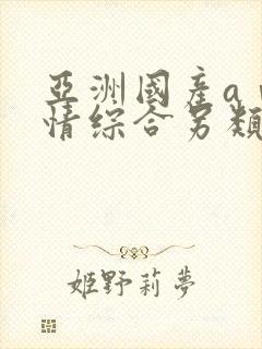 亚洲国产aⅴ激情综合另类