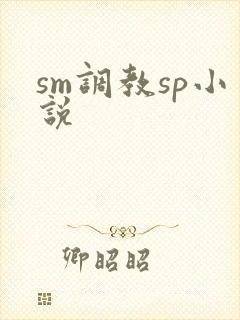sm调教sp小说