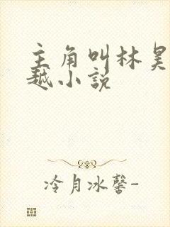 主角叫林昊的穿越小说封面