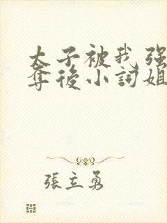 太子被我强取豪夺后小词姐姐