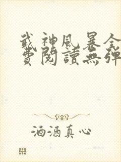 武神风暴全文免费阅读无弹窗笔趣阁封面