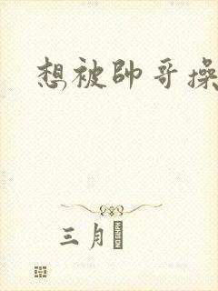 想被帅哥操