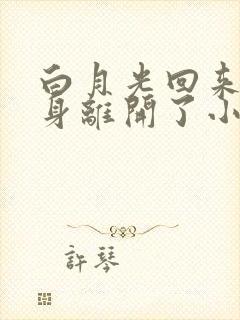 白月光回来后替身离开了小说