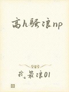 高h骚浪np
