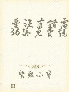 爱没有错电视剧36集免费观看封面