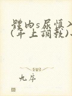 体内s尿慎入h(年上调教)小说