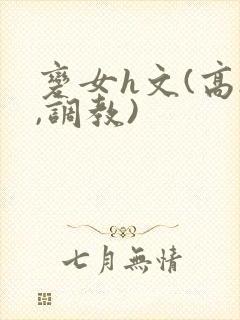 变女h文(高h,调教)