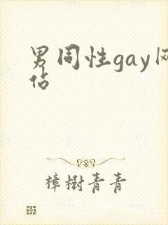 男同性gay网站封面