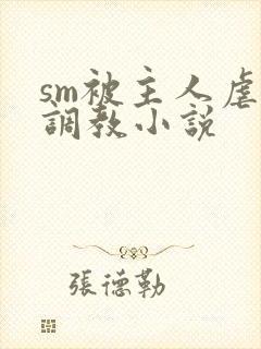 sm被主人虐玩调教小说