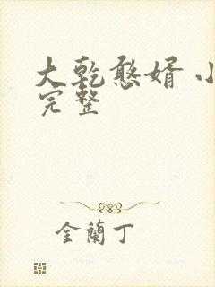 大乾憨婿 小说完整封面
