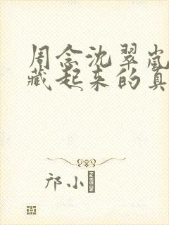周念沈翠岚《被藏起来的真相》小说封面