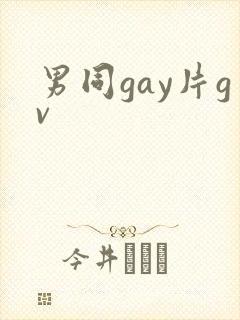 男同gay片gv