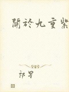 关于九重紫小说