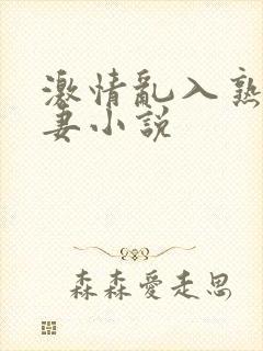 激情乱入熟妇人妻小说