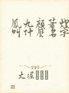 凤九颜萧煜小说叫什么名字