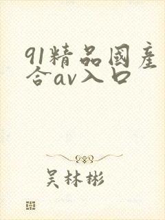 91精品国产综合av入口