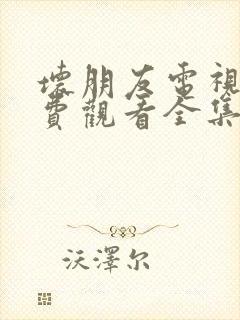 坏朋友电视剧免费观看全集高清