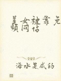 美女被靠免费视频网站