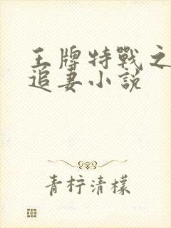 王牌特战之军少追妻小说封面