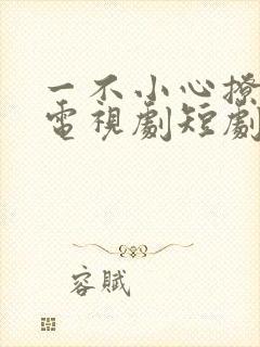 一不小心撩错人电视剧短剧