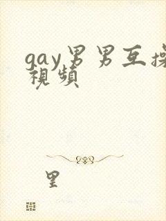 gay男男互操视频