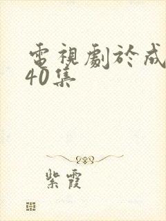 电视剧于成龙第40集封面