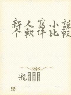新人写小说在哪个软件比较好
