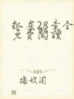 抓灰28章全部免费阅读