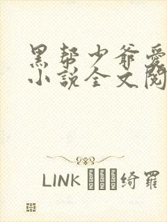 黑帮少爷爱上我小说全文阅读
