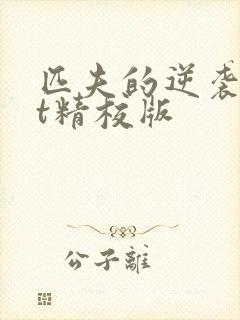 匹夫的逆袭txt精校版封面