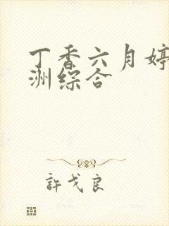 丁香六月婷婷亚洲综合