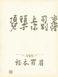 顶头上司变后妈儿子你别懵短剧免费看