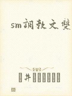sm调教文双男