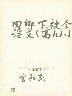 回乡下被全村人淫交(高h)小说