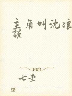 主角叫沈浪的小说