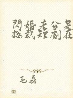 闪婚老公是亿万总裁短剧在线观看