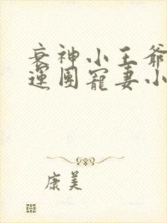 衰神小王爷的福运团宠妻小说听书