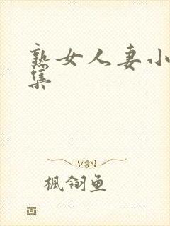 熟女人妻小说合集