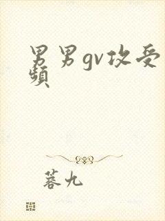 男男gv攻受视频