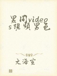 男同videos视频男色封面