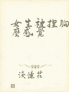 女生被捏胸是什么感觉