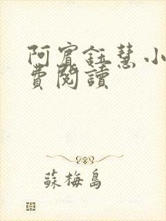 阿宾钰慧小说免费阅读
