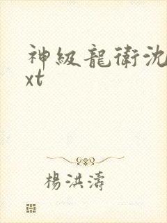 神级龙卫沈浪txt