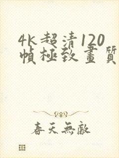 4k超清120帧极致画质