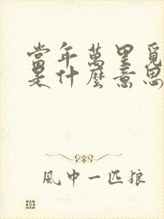 当年万里觅封侯是什么意思