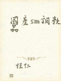 国产sm调教精品