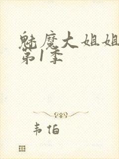 魅魔大姐姐动漫第1季封面