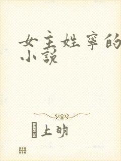 女主姓宁的现代小说