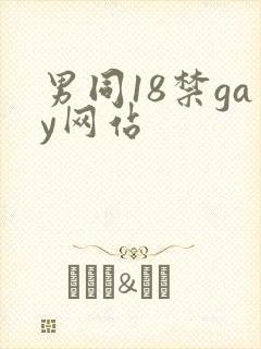 男同18禁gay网站